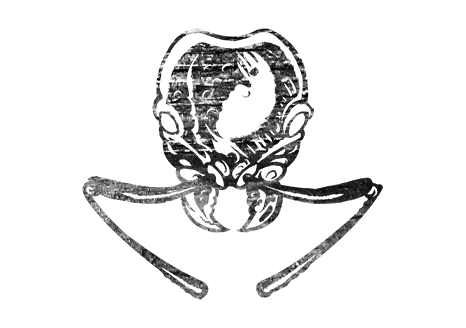 capital